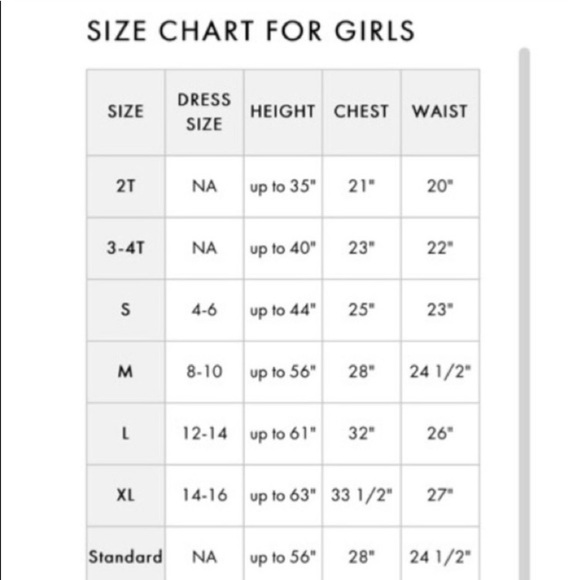 Dream Catcher Cutie Girls Toddler Native American Halloween Costume - Picture 11 of 11